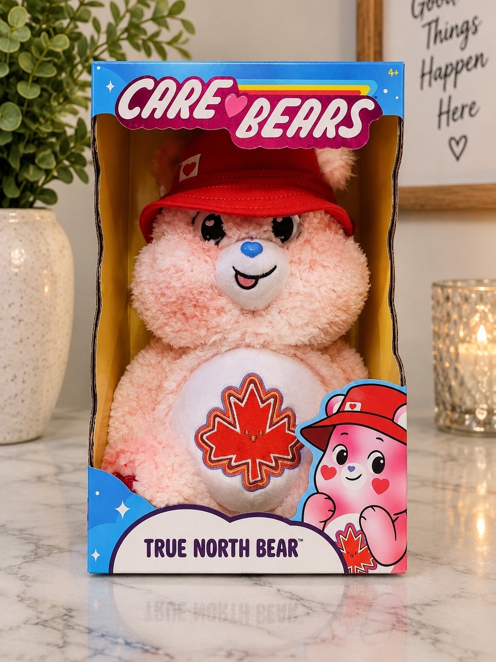 Care Bears True North Bear Canadian Exclusive Discontinued Plush NIB